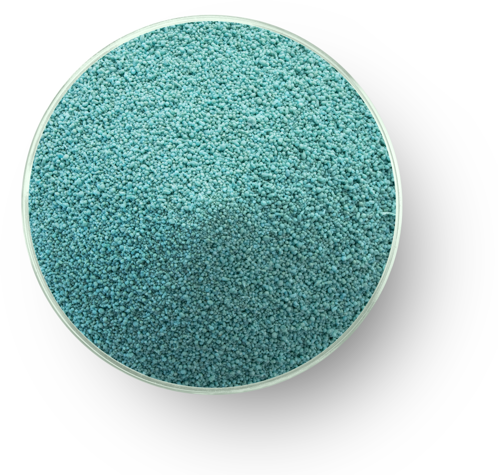 Microscope photo showing the protein enzyme interleukin. In the photo, the Prosthetic group and apoenzyme are marked